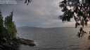 ./images/koeye/fitz-hugh/20250611/fitz-hugh20250611_210509M.jpg