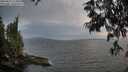 ./images/koeye/fitz-hugh/20250611/fitz-hugh20250611_212008M.jpg