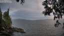 ./images/koeye/fitz-hugh/20250611/fitz-hugh20250611_212509M.jpg