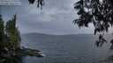 ./images/koeye/fitz-hugh/20250611/fitz-hugh20250611_215509M.jpg