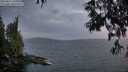 ./images/koeye/fitz-hugh/20250611/fitz-hugh20250611_220009M.jpg