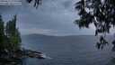 ./images/koeye/fitz-hugh/20250611/fitz-hugh20250611_221008M.jpg