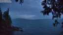 ./images/koeye/fitz-hugh/20250611/fitz-hugh20250611_223009M.jpg