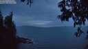 ./images/koeye/fitz-hugh/20250611/fitz-hugh20250611_223509M.jpg