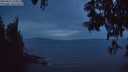 ./images/koeye/fitz-hugh/20250611/fitz-hugh20250611_224010M.jpg
