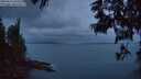 ./images/koeye/fitz-hugh/20250612/fitz-hugh20250612_043508M.jpg