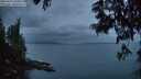 ./images/koeye/fitz-hugh/20250612/fitz-hugh20250612_044010M.jpg