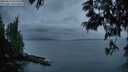 ./images/koeye/fitz-hugh/20250612/fitz-hugh20250612_044508M.jpg