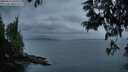 ./images/koeye/fitz-hugh/20250612/fitz-hugh20250612_045010M.jpg