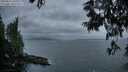 ./images/koeye/fitz-hugh/20250612/fitz-hugh20250612_045508M.jpg