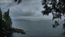 ./images/koeye/fitz-hugh/20250612/fitz-hugh20250612_050009M.jpg