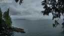 ./images/koeye/fitz-hugh/20250612/fitz-hugh20250612_050509M.jpg