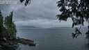 ./images/koeye/fitz-hugh/20250612/fitz-hugh20250612_051009M.jpg