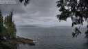 ./images/koeye/fitz-hugh/20250612/fitz-hugh20250612_052008M.jpg