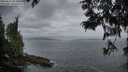 ./images/koeye/fitz-hugh/20250612/fitz-hugh20250612_053009M.jpg