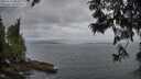 ./images/koeye/fitz-hugh/20250612/fitz-hugh20250612_053507M.jpg
