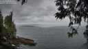 ./images/koeye/fitz-hugh/20250612/fitz-hugh20250612_054009M.jpg
