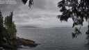 ./images/koeye/fitz-hugh/20250612/fitz-hugh20250612_055008M.jpg
