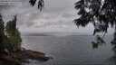 ./images/koeye/fitz-hugh/20250612/fitz-hugh20250612_055509M.jpg