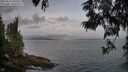 ./images/koeye/fitz-hugh/20250612/fitz-hugh20250612_060510M.jpg