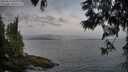 ./images/koeye/fitz-hugh/20250612/fitz-hugh20250612_061009M.jpg