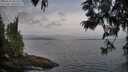 ./images/koeye/fitz-hugh/20250612/fitz-hugh20250612_061510M.jpg