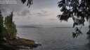 ./images/koeye/fitz-hugh/20250612/fitz-hugh20250612_062009M.jpg