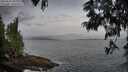 ./images/koeye/fitz-hugh/20250612/fitz-hugh20250612_062509M.jpg