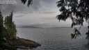 ./images/koeye/fitz-hugh/20250612/fitz-hugh20250612_063011M.jpg