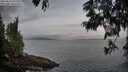 ./images/koeye/fitz-hugh/20250612/fitz-hugh20250612_063510M.jpg