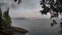 ./images/koeye/fitz-hugh/20250612/fitz-hugh20250612_064009M.jpg