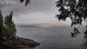 ./images/koeye/fitz-hugh/20250612/fitz-hugh20250612_064509M.jpg