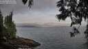 ./images/koeye/fitz-hugh/20250612/fitz-hugh20250612_065009M.jpg