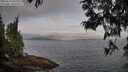 ./images/koeye/fitz-hugh/20250612/fitz-hugh20250612_065509M.jpg