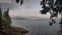./images/koeye/fitz-hugh/20250612/fitz-hugh20250612_070010M.jpg