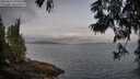 ./images/koeye/fitz-hugh/20250612/fitz-hugh20250612_070509M.jpg