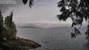 ./images/koeye/fitz-hugh/20250612/fitz-hugh20250612_072009M.jpg
