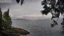 ./images/koeye/fitz-hugh/20250612/fitz-hugh20250612_072510M.jpg