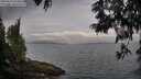 ./images/koeye/fitz-hugh/20250612/fitz-hugh20250612_073010M.jpg