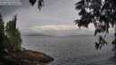 ./images/koeye/fitz-hugh/20250612/fitz-hugh20250612_073510M.jpg