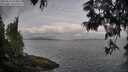 ./images/koeye/fitz-hugh/20250612/fitz-hugh20250612_074010M.jpg