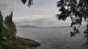 ./images/koeye/fitz-hugh/20250612/fitz-hugh20250612_074510M.jpg