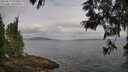 ./images/koeye/fitz-hugh/20250612/fitz-hugh20250612_075009M.jpg
