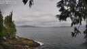 ./images/koeye/fitz-hugh/20250612/fitz-hugh20250612_075509M.jpg