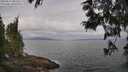 ./images/koeye/fitz-hugh/20250612/fitz-hugh20250612_082510M.jpg
