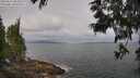 ./images/koeye/fitz-hugh/20250612/fitz-hugh20250612_083509M.jpg