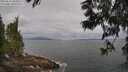 ./images/koeye/fitz-hugh/20250612/fitz-hugh20250612_084011M.jpg