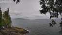 ./images/koeye/fitz-hugh/20250612/fitz-hugh20250612_090010M.jpg