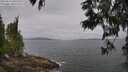 ./images/koeye/fitz-hugh/20250612/fitz-hugh20250612_091509M.jpg