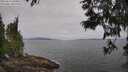 ./images/koeye/fitz-hugh/20250612/fitz-hugh20250612_094010M.jpg